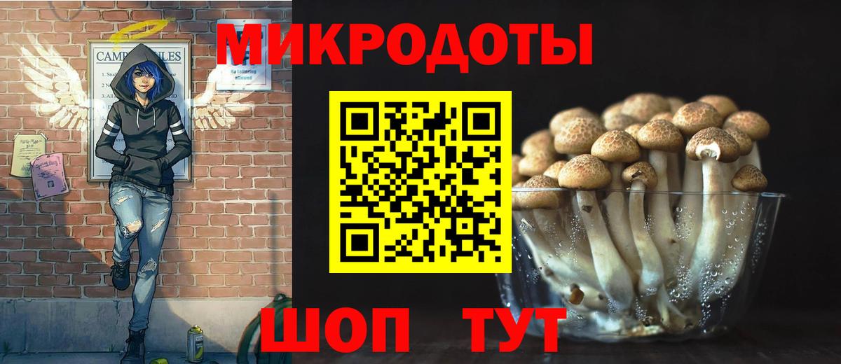 Псилоцибиновые грибы Psilocybe  Вход с VPN  Барабинск 